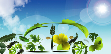 企業(yè)品牌設(shè)計(jì)有奇招