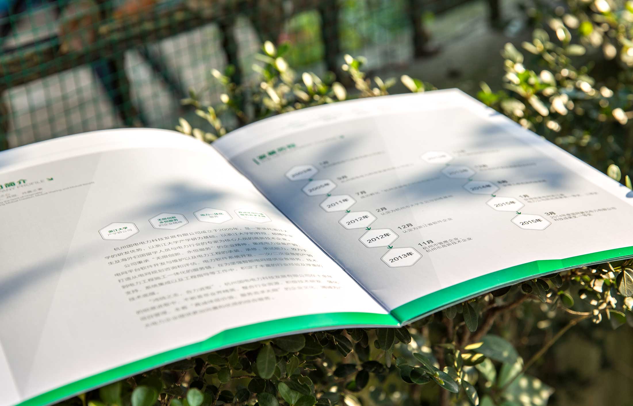 與全案營銷策劃公司進行洽談