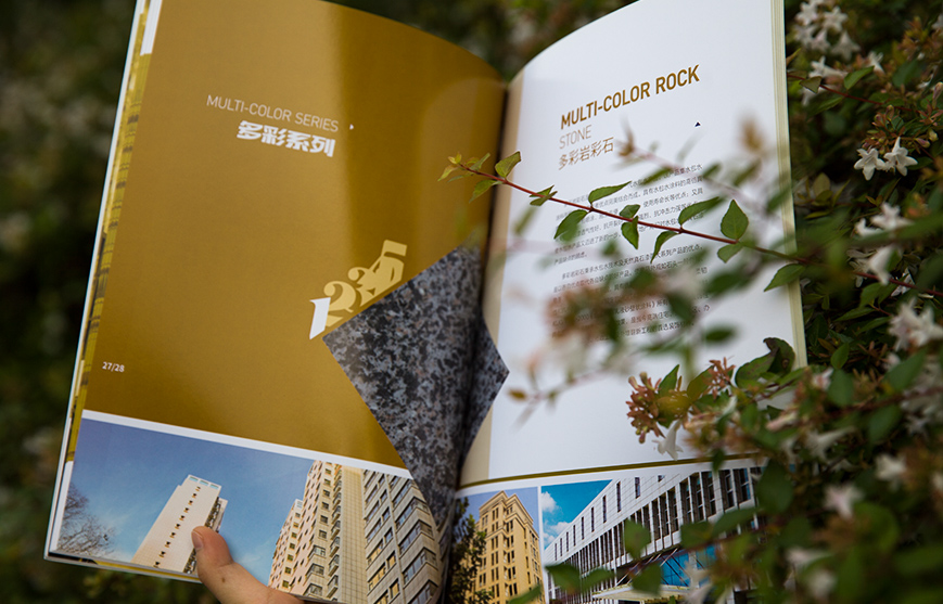 1628934494921580.jpg 54527658.JPG